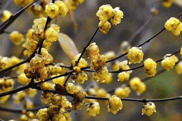 霸气的句子配图 超拽 霸气的句子配图 超拽