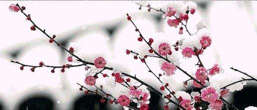 霸气的句子配图 超拽 霸气的句子配图 超拽