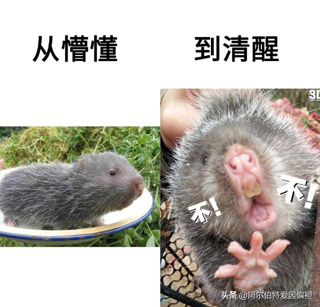 关于成长的幽默句子 关于成长的幽默句子