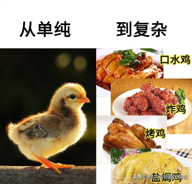 关于成长的幽默句子 关于成长的幽默句子
