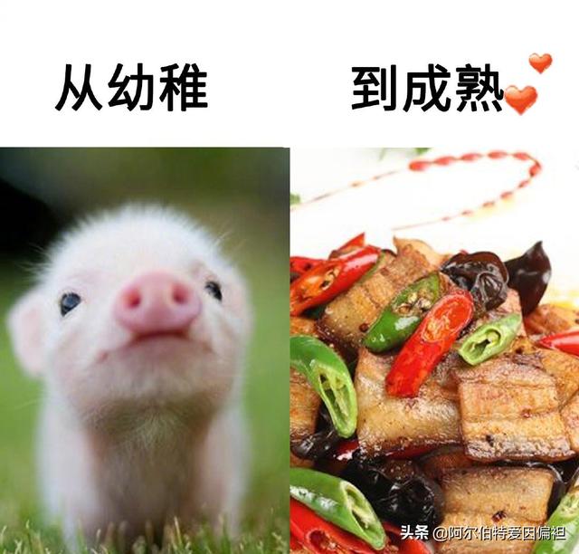 关于成长的幽默句子 关于成长的幽默句子