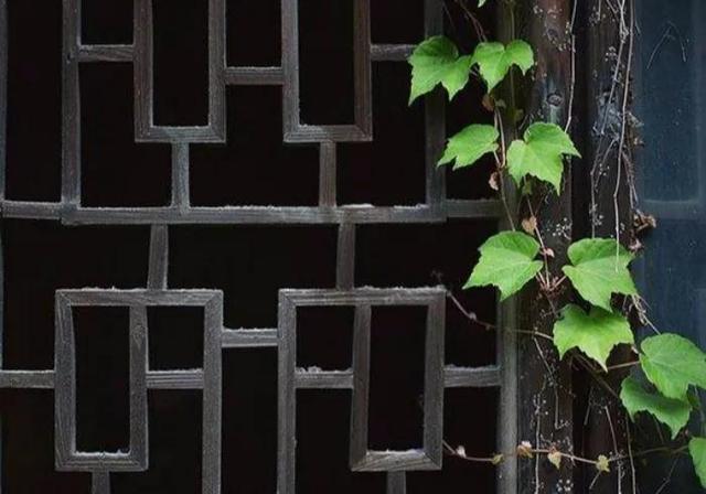 温柔半两,从容一生