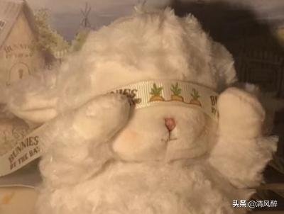 很幽默很搞笑的句子 很幽默很搞笑的句子