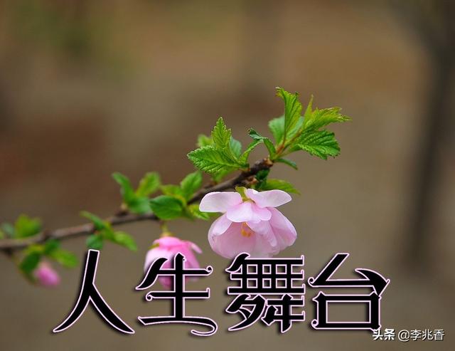 人生舞台正能量的句子,最具鼓舞人心,读后受用一生
