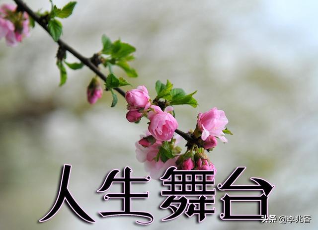 人生舞台正能量的句子,最具鼓舞人心,读后受用一生