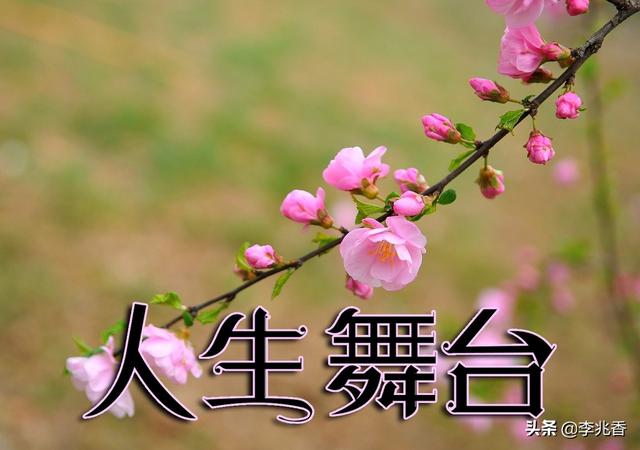 人生舞台正能量的句子,最具鼓舞人心,读后受用一生