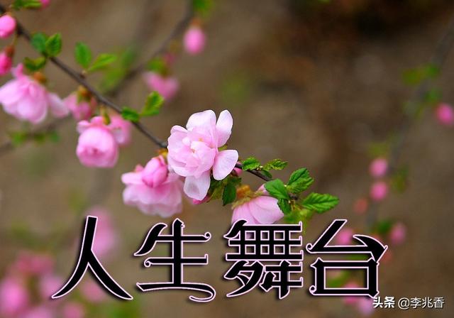 人生舞台正能量的句子,最具鼓舞人心,读后受用一生