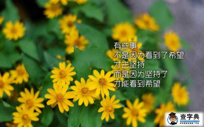 激励人生的故事(人生励志小故事)