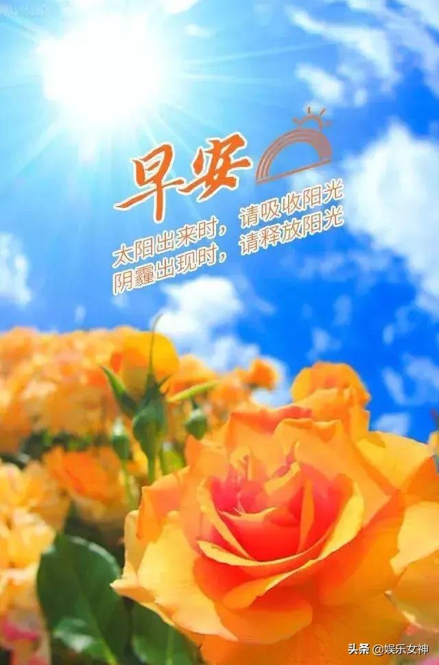 早安问候语正能量 工作群发早安句子