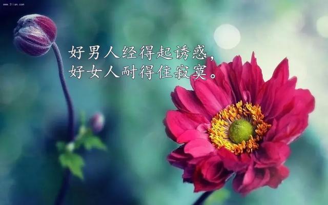 中秋节朋友圈很赞的心情短语,句句触动人心