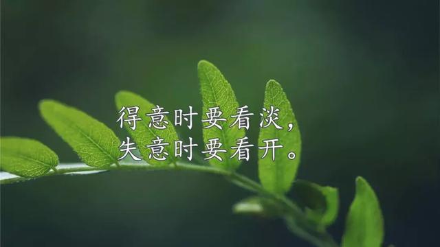 中秋节朋友圈很赞的心情短语,句句触动人心