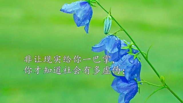 中秋节朋友圈很赞的心情短语,句句触动人心