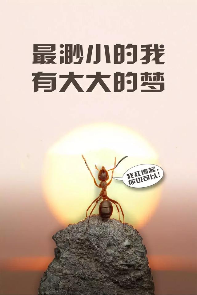 早上好正能量的励志句子,简短早上励志精辟