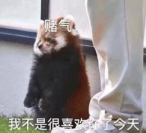 调侃自己的幽默句子大众_(别人约我怎么搞笑回复)