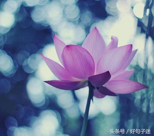 看淡人生的佛语句子,句句真谛,点透人生!