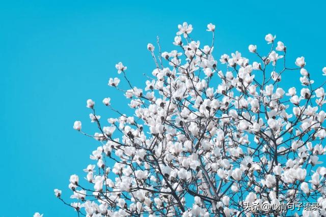 周五心情的幽默句子 周五心情的幽默句子