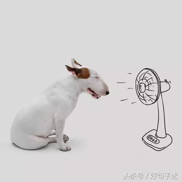 搞笑幽默的句子说说 搞笑幽默的句子说说