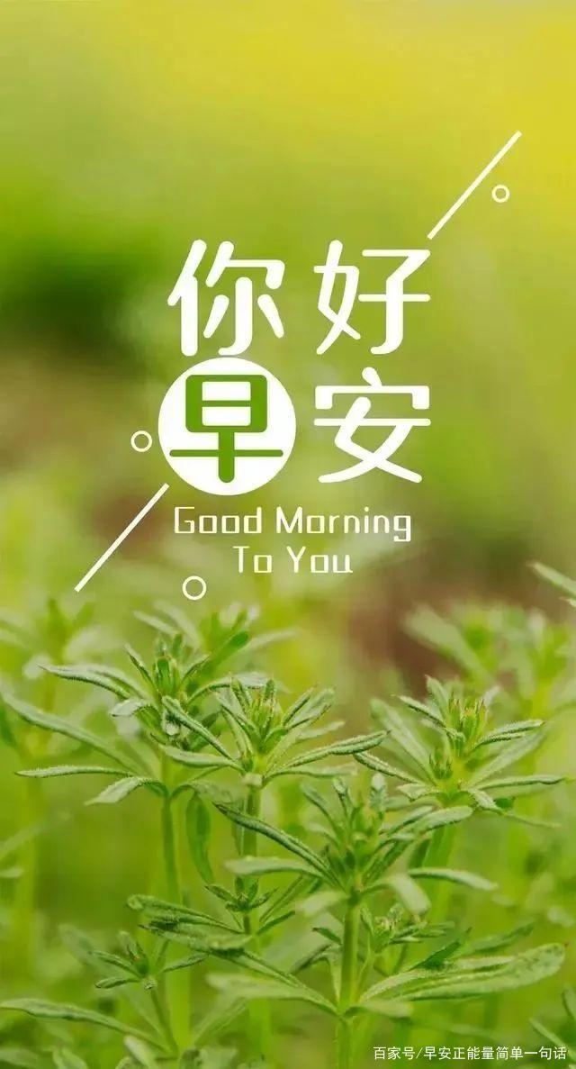 每日正能量一句话(2020励志正能量句子)