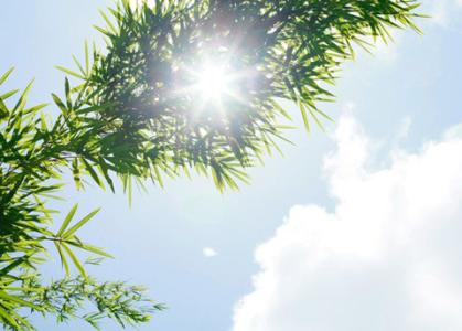 天气美句子(好天气好心情唯美短句)