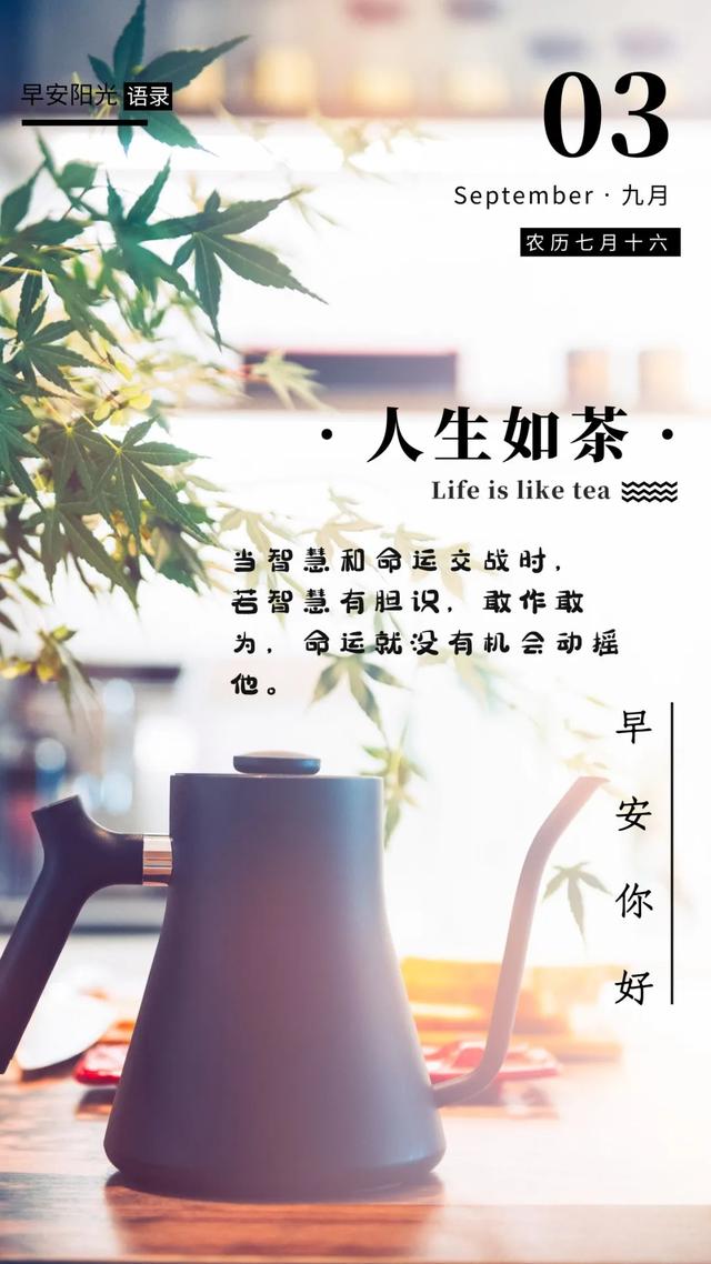 早安正能量句子:花开不是为了花落,而是为了开的更加灿烂