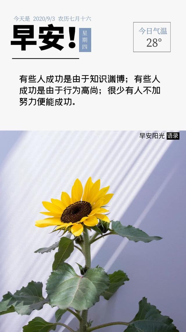 早安正能量句子:花开不是为了花落,而是为了开的更加灿烂