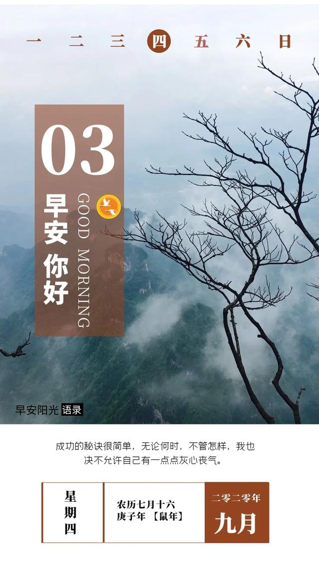 早安正能量句子:花开不是为了花落,而是为了开的更加灿烂