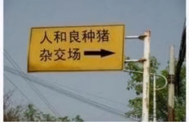 比较幽默的句子适合用来做标语 比较幽默的句子适合用来做标语
