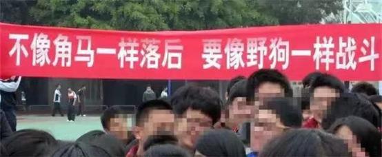 比较幽默的句子适合用来做标语 比较幽默的句子适合用来做标语