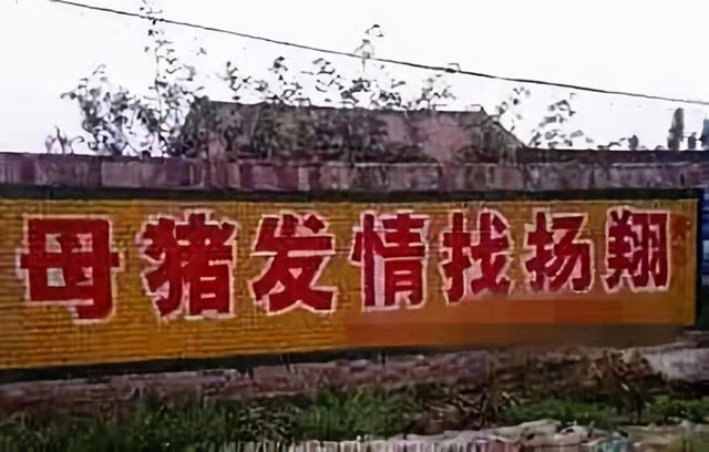 比较幽默的句子适合用来做标语 比较幽默的句子适合用来做标语