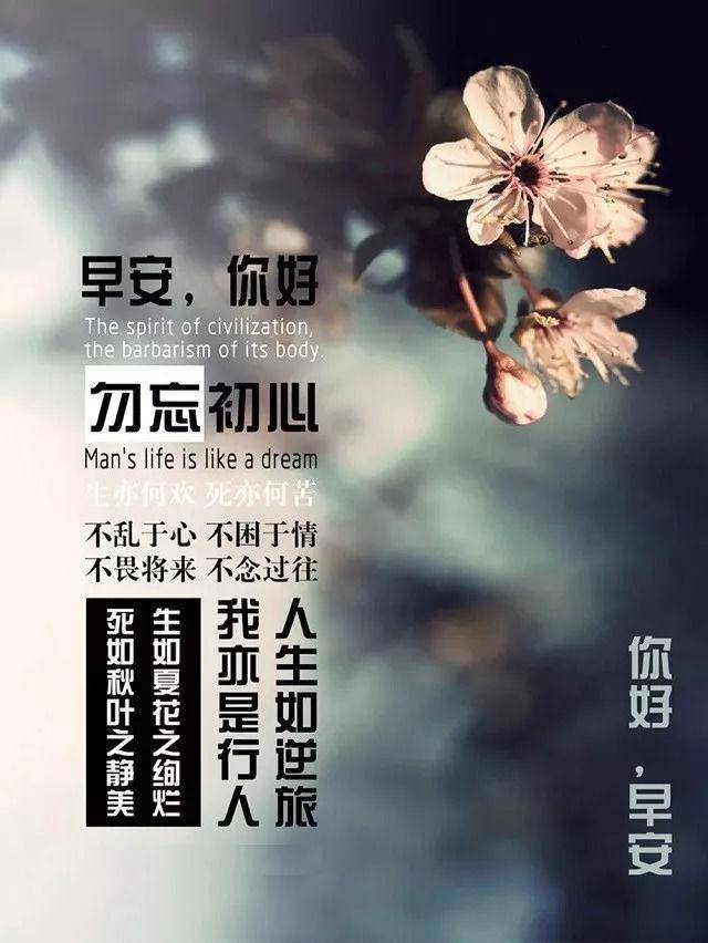 正能量的句子经典语句2017(早安正能量句子 励志)