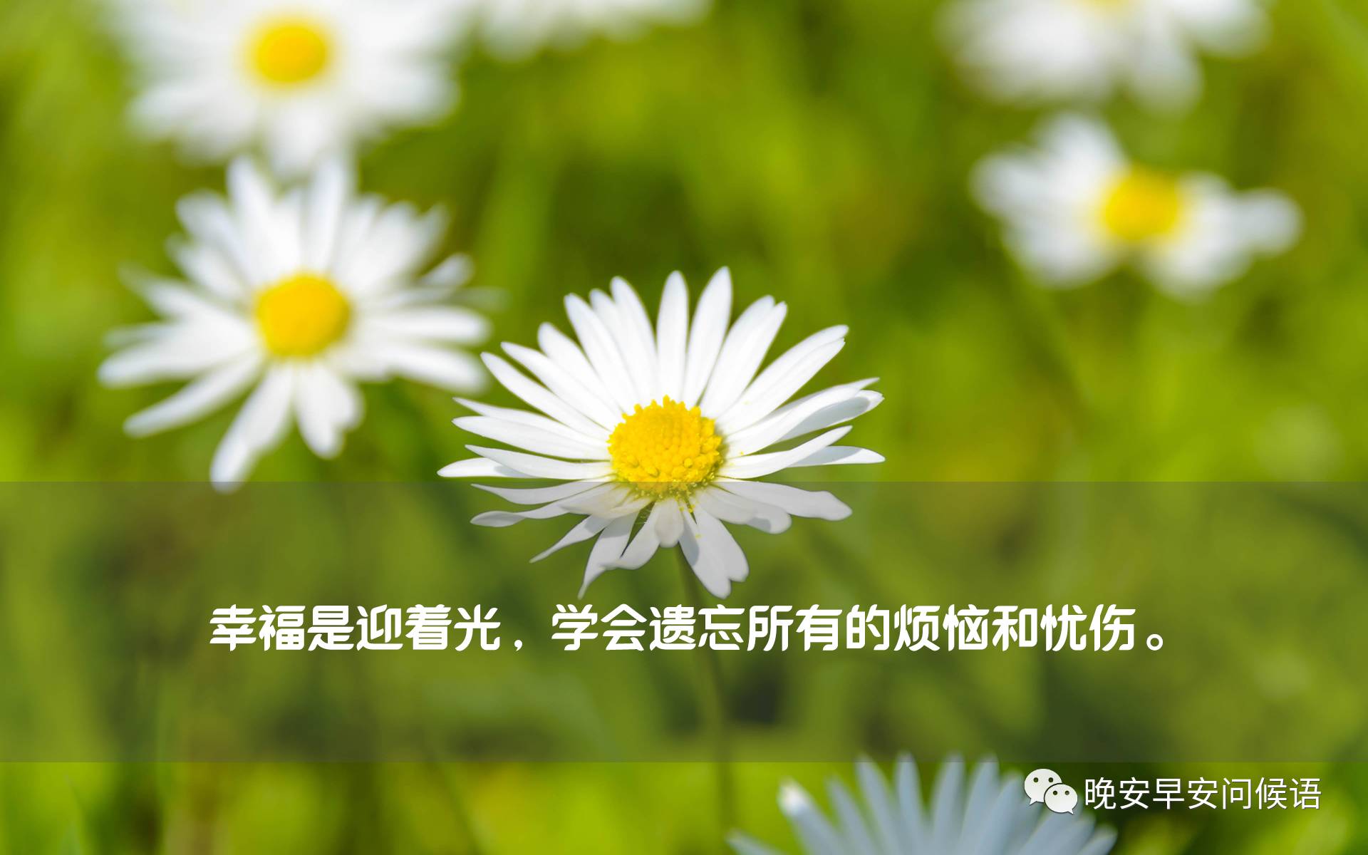 一句形容幸福的句子【表达有你很幸福的诗句】
