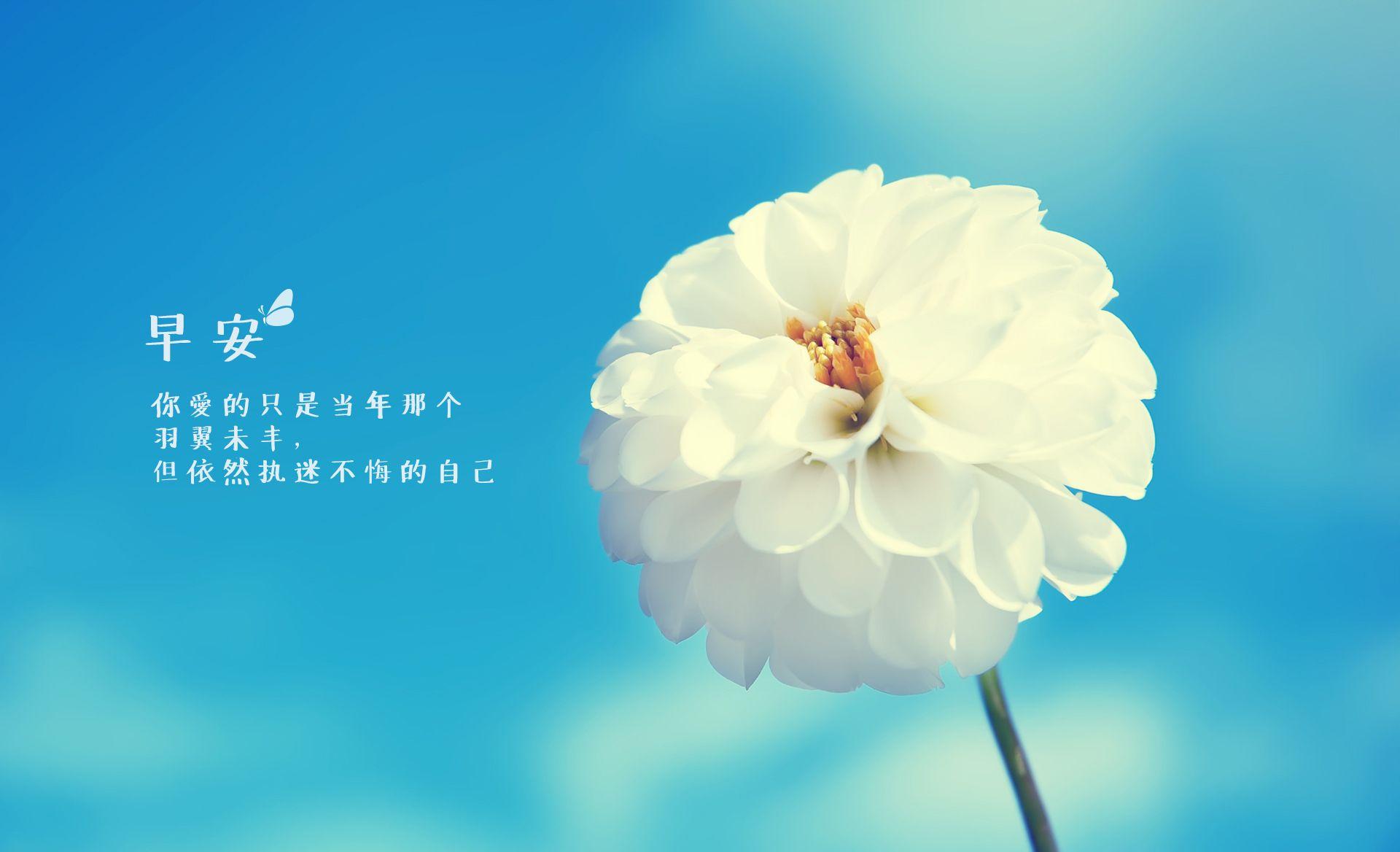 运动的句子励志句子(运动精辟短句)