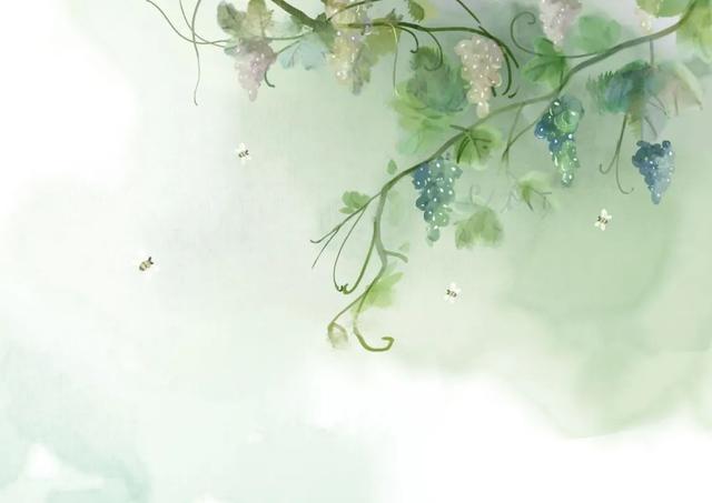 幸福的句子说说心情随笔 幸福的句子说说心情随笔