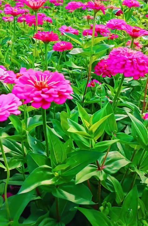 发朋友圈激励自己的简短句子,阳光唯美,令人一见倾心