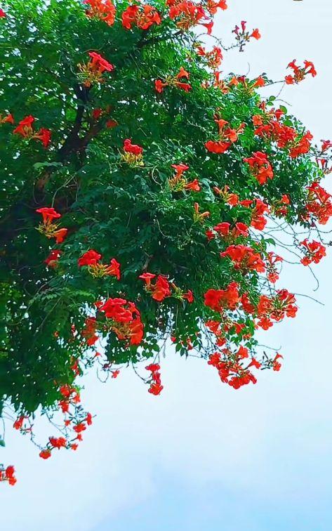 发朋友圈激励自己的简短句子,阳光唯美,令人一见倾心