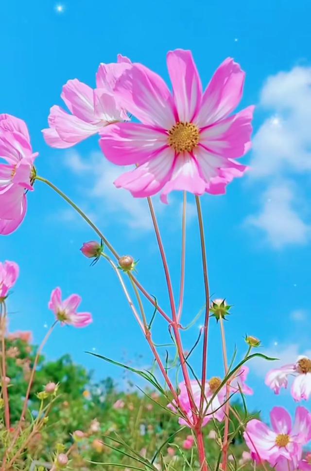 发朋友圈激励自己的简短句子,阳光唯美,令人一见倾心