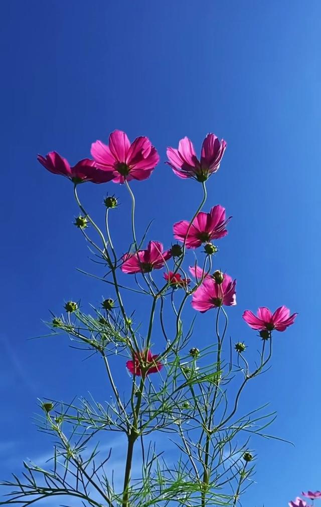 发朋友圈激励自己的简短句子,阳光唯美,令人一见倾心