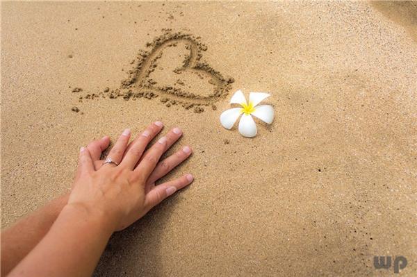 写进心窝的情感语录，句句经典，总有一句触碰了你的心弦