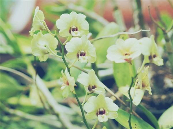 发朋友圈唯美阳光的句子,意义深远,正能量满满