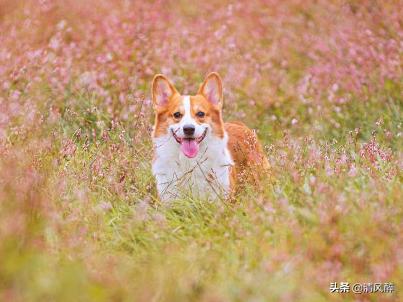 抖音很惊艳的句子 一眼就爱上的文案