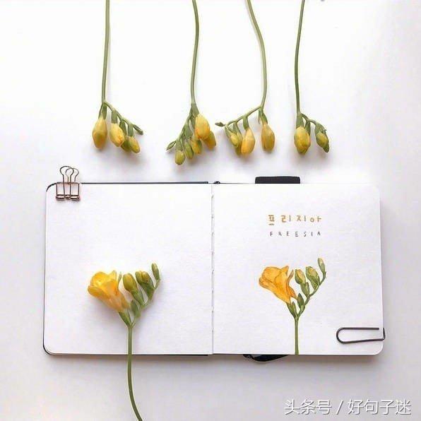 致自己简短励志的句子，做正能量的女人！