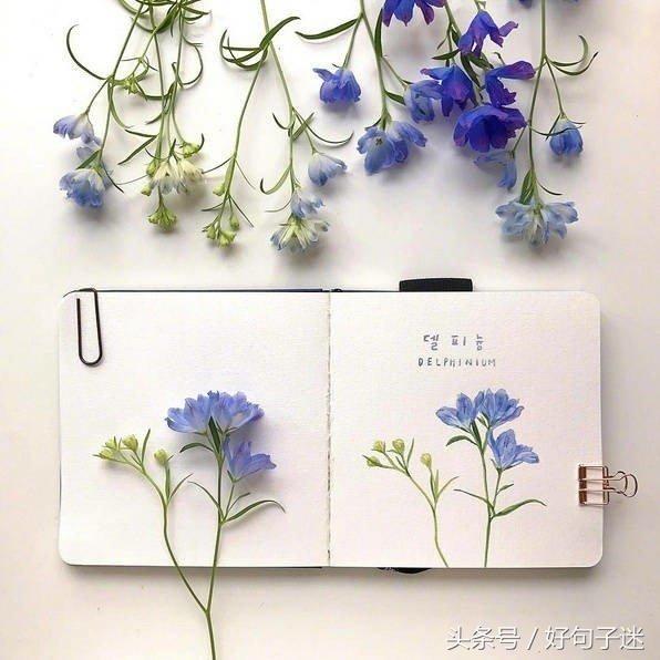 致自己简短励志的句子，做正能量的女人！