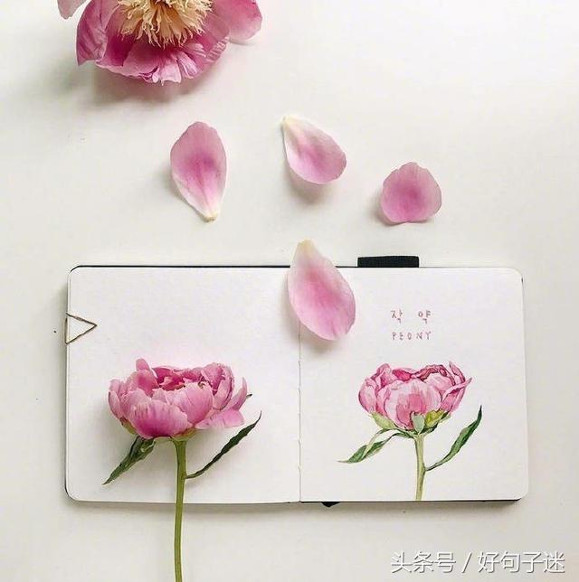 致自己简短励志的句子，做正能量的女人！