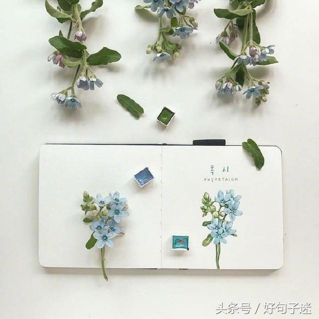 致自己简短励志的句子，做正能量的女人！