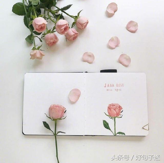 致自己简短励志的句子，做正能量的女人！