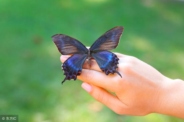 人生励志故事两则，逆境中奋起的故事！