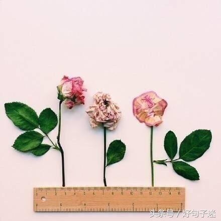 老师鼓励学生的经典话语,每一句都是心灵鸡汤!