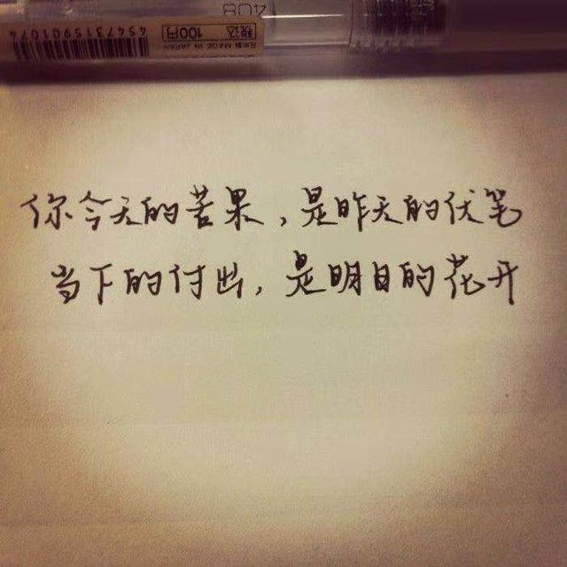 成长蜕变的励志的句子,阳光正能量,致堕落迷茫的90后!