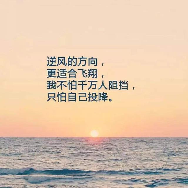 人生励志语录:坦然面对生活的压力，逆风的方向更适合飞翔