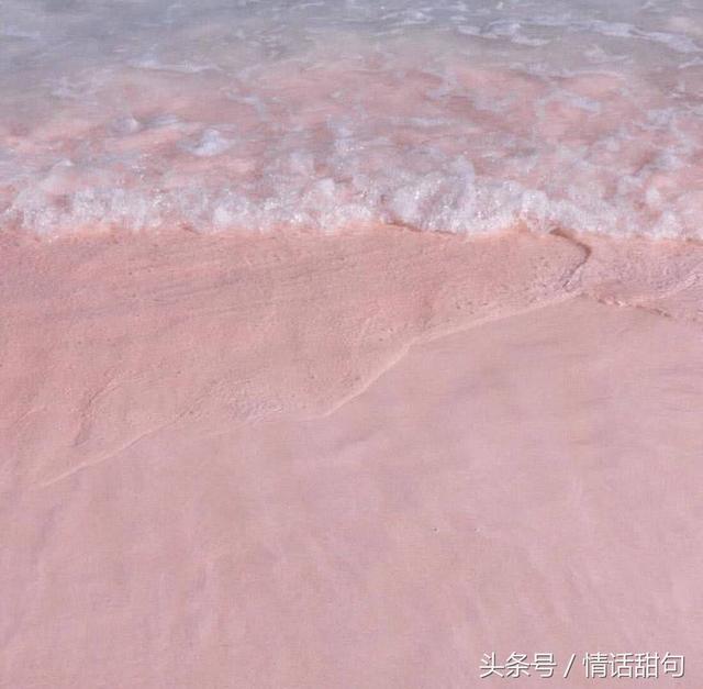 名著中关于表白的爱情句子 名著中关于表白的爱情句子